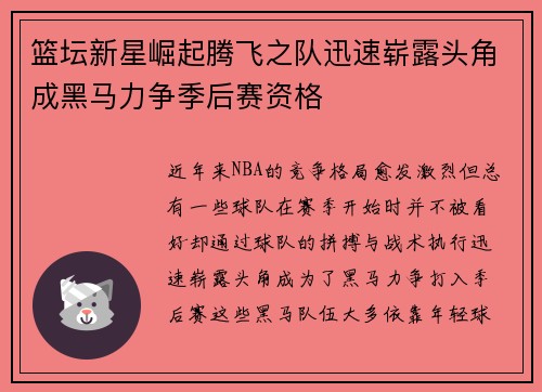 篮坛新星崛起腾飞之队迅速崭露头角成黑马力争季后赛资格